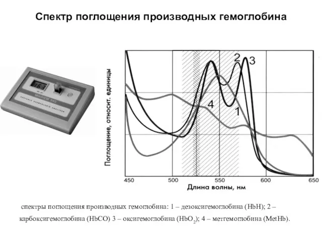 Спектр поглощения производных гемоглобина спектры поглощения производных гемоглобина: 1 – дезоксигемоглобина