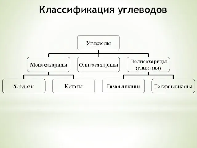 Классификация углеводов