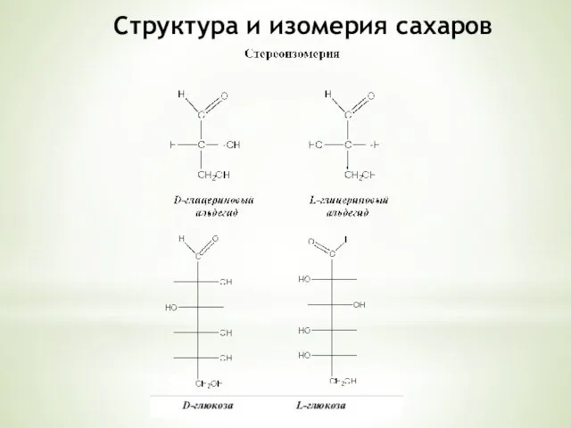 Структура и изомерия сахаров