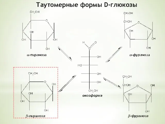 Таутомерные формы D-глюкозы