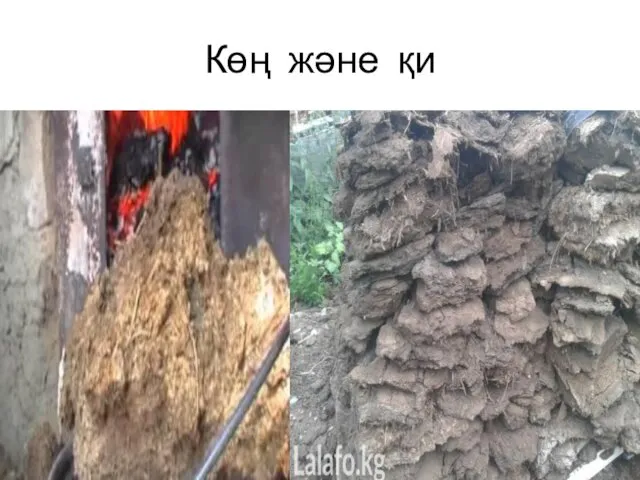 Көң және қи