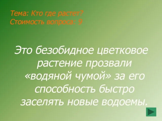 Тема: Кто где растет? Стоимость вопроса: 9 Это безобидное цветковое растение