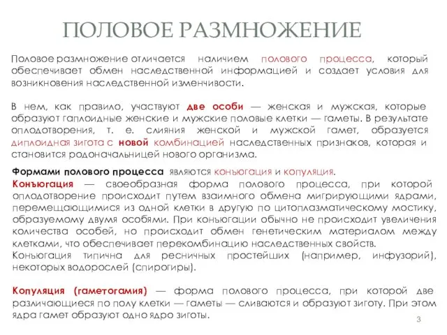 ПОЛОВОЕ РАЗМНОЖЕНИЕ Половое размножение отличается наличием полового процесса, который обеспечивает обмен