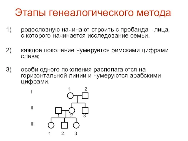 Этапы генеалогического метода родословную начинают строить с пробанда - лица, с