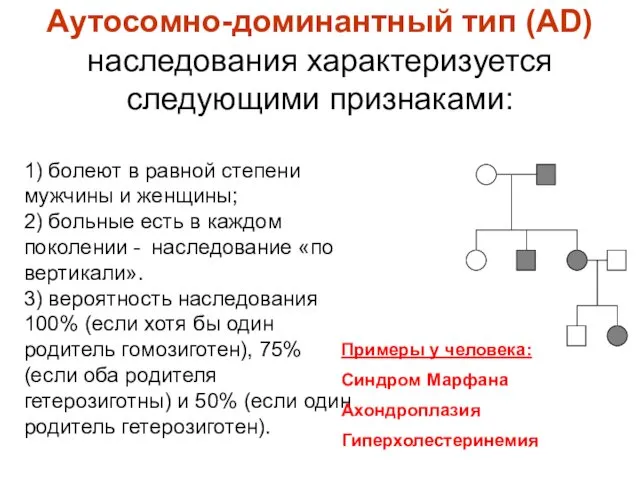 Аутосомно-доминантный тип (AD) наследования характеризуется следующими признаками: 1) болеют в равной