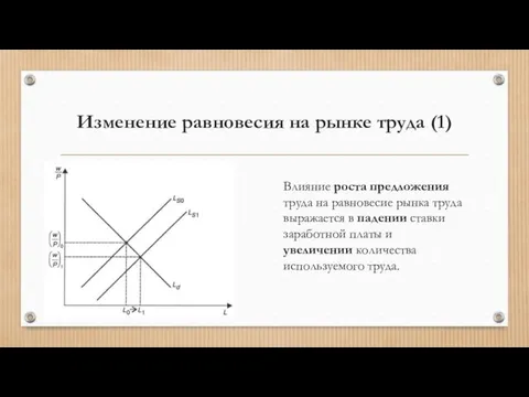 Изменение равновесия на рынке труда (1) Влияние роста предложения труда на