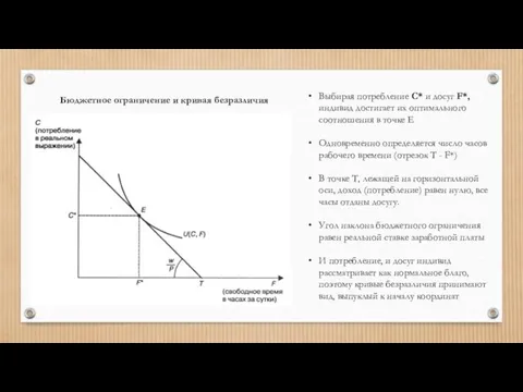 Выбирая потребление С* и досуг F*, индивид достигает их оптимального соотношения