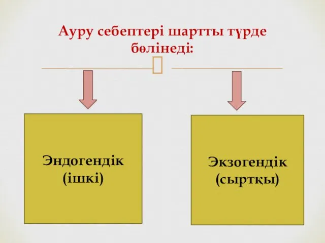 Ауру себептері шартты түрде бөлінеді: Эндогендік (ішкі) Экзогендік (сыртқы)