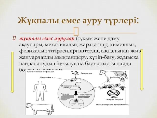 жұқпалы емес аурулар (тұқым жөне даму ақаулары, механикалық жарақаттар, химиялық, физикалық