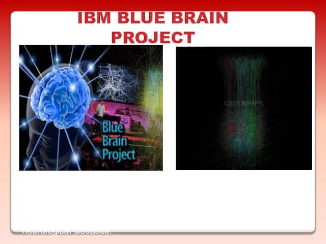 IBM BLUE BRAIN PROJECT Reconstructing the brain piece by piece and