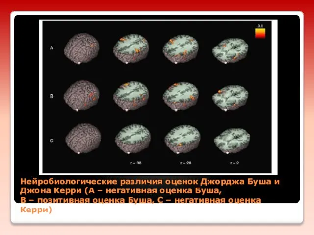 Нейробиологические различия оценок Джорджа Буша и Джона Керри (А – негативная