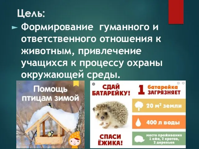 Цель: Формирование гуманного и ответственного отношения к животным, привлечение учащихся к процессу охраны окружающей среды.