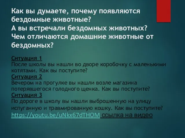 Как вы думаете, почему появляются бездомные животные? А вы встречали бездомных