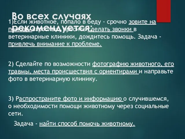 Во всех случаях рекомендуется: 1)Если животное, попало в беду - срочно