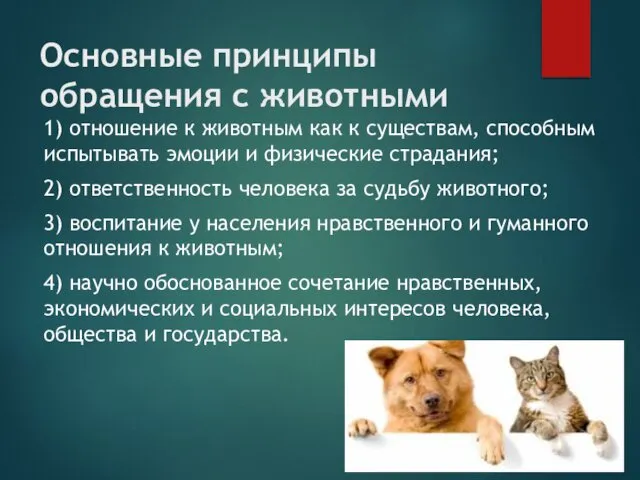 Основные принципы обращения с животными 1) отношение к животным как к