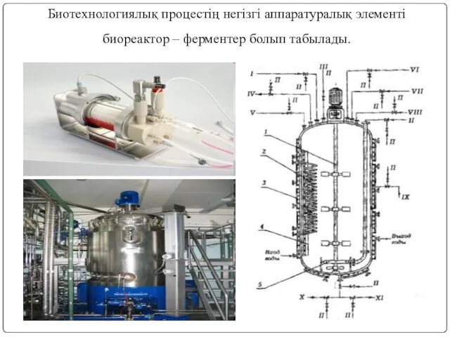 Биотехнологиялық процестің негізгі аппаратуралық элементі биореактор – ферментер болып табылады.
