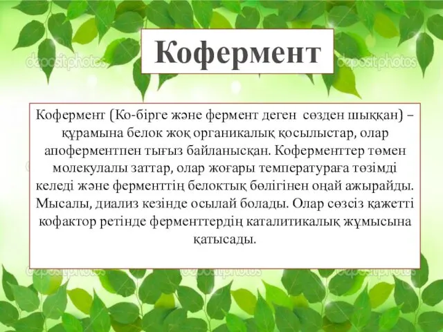 Кофермент (Ко-бірге және фермент деген сөзден шыққан) – құрамына белок жоқ