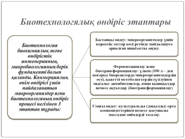 Биотехнологялық өндіріс этаптары