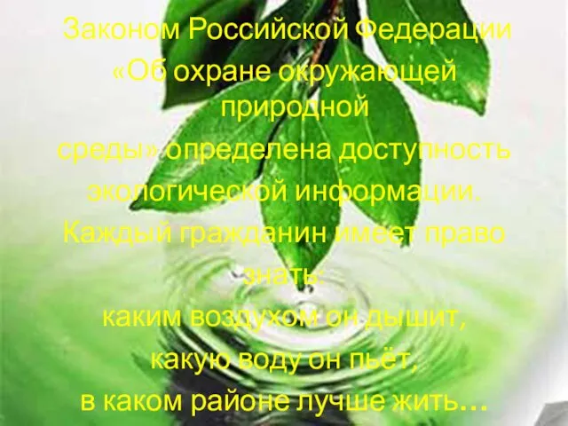 Законом Российской Федерации «Об охране окружающей природной среды» определена доступность экологической