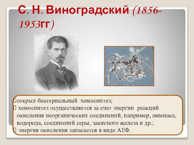 С. Н. Виноградский (1856- 1953гг) открыл бактериальный хемосинтез; хемосинтез осуществляется за