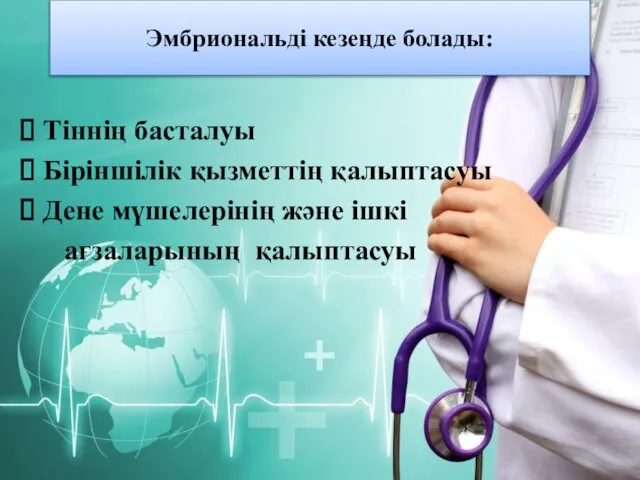 Эмбриональді кезеңде болады: Тіннің басталуы Біріншілік қызметтің қалыптасуы Дене мүшелерінің және ішкі ағзаларының қалыптасуы