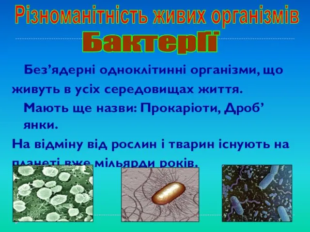 Бактерії Різноманітність живих організмів Без’ядерні одноклітинні організми, що живуть в усіх