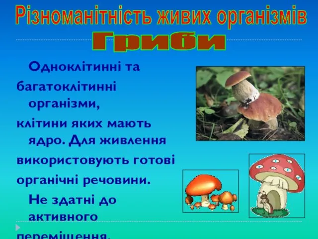 Одноклітинні та багатоклітинні організми, клітини яких мають ядро. Для живлення використовують