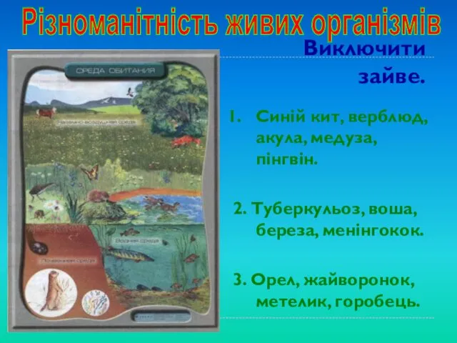 Виключити зайве. Синій кит, верблюд, акула, медуза, пінгвін. 2. Туберкульоз, воша,