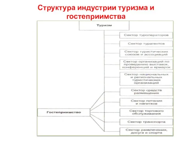 Структура индустрии туризма и гостеприимства