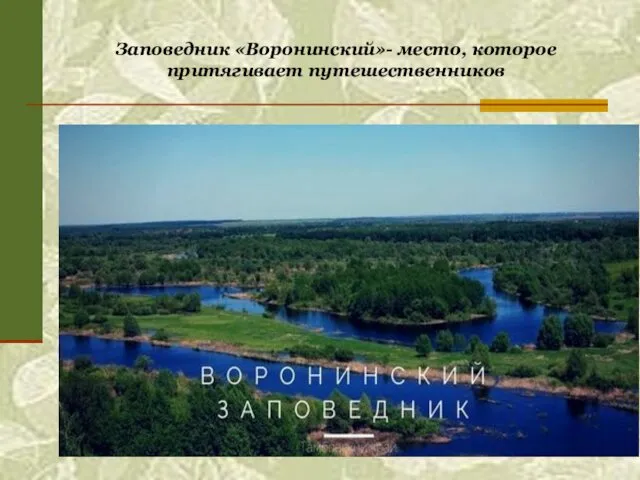 Заповедник «Воронинский»- место, которое притягивает путешественников