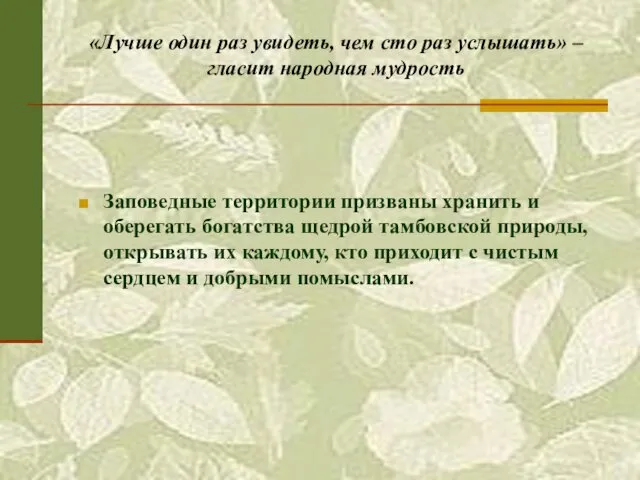 «Лучше один раз увидеть, чем сто раз услышать» – гласит народная