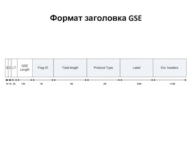 Формат заголовка GSE