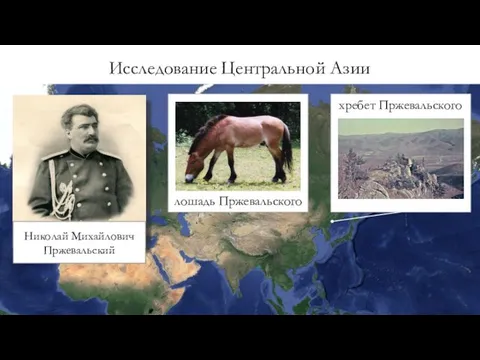 Николай Михайлович Пржевальский Исследование Центральной Азии хребет Пржевальского лошадь Пржевальского