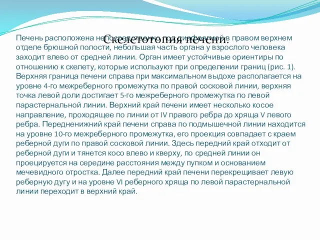 Печень расположена непосредственно под диафрагмой в правом верхнем отделе брюшной полости,