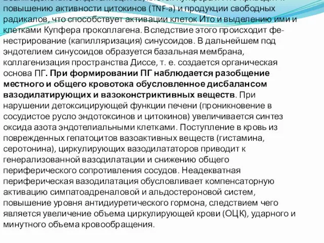 Взаимодействие эндотелиоцитов, клеток Купфера и Ито приводит к повышению активности цитокинов