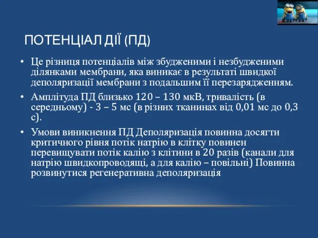 ПОТЕНЦІАЛ ДІЇ (ПД) Це різниця потенціалів між збудженими і незбудженими ділянками