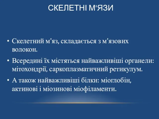 СКЕЛЕТНІ М'ЯЗИ Скелетний м'яз, складається з м'язових волокон. Всередині їх містяться