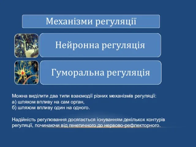 Можна виділити два типи взаємодії різних механізмів регуляції: а) шляхом впливу