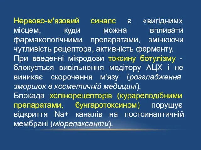 Нервово-м'язовий синапс є «вигідним» місцем, куди можна впливати фармакологічними препаратами, змінюючи