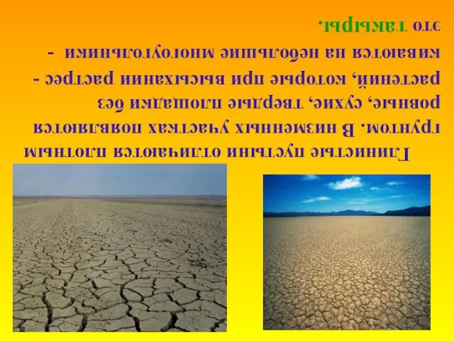 Глинистые пустыни отличаются плотным грунтом. В низменных участках появляются ровные, сухие,