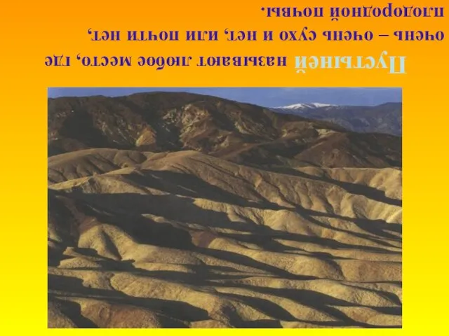 Пустыней называют любое место, где очень – очень сухо и нет, или почти нет, плодородной почвы.