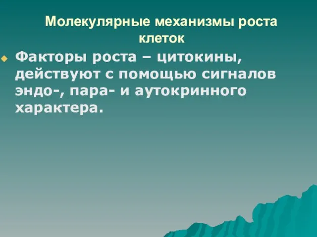 Молекулярные механизмы роста клеток Факторы роста – цитокины, действуют с помощью