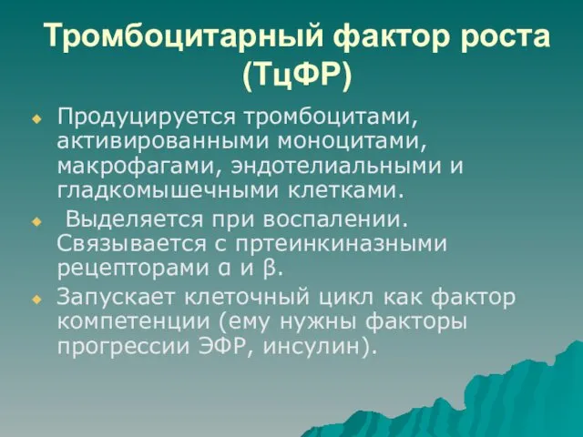 Тромбоцитарный фактор роста (ТцФР) Продуцируется тромбоцитами, активированными моноцитами, макрофагами, эндотелиальными и