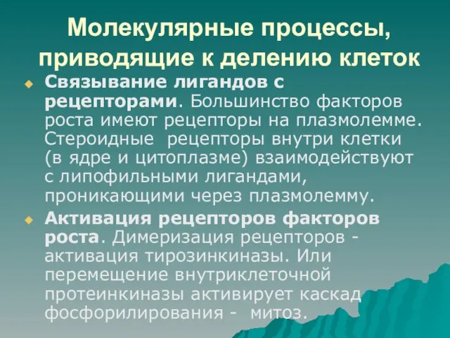 Молекулярные процессы, приводящие к делению клеток Связывание лигандов с рецепторами. Большинство