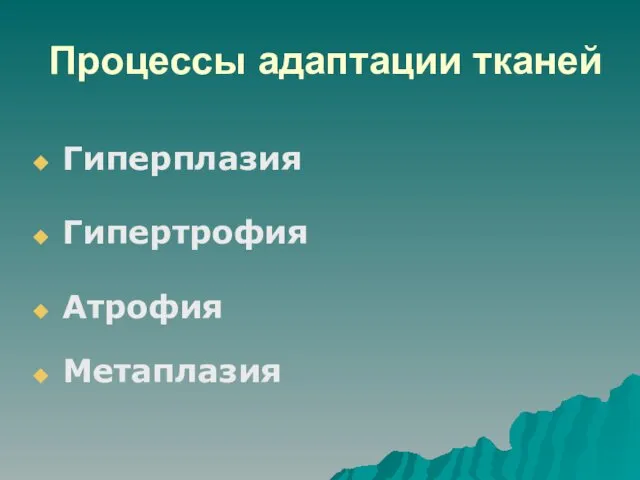 Процессы адаптации тканей Гиперплазия Гипертрофия Атрофия Метаплазия