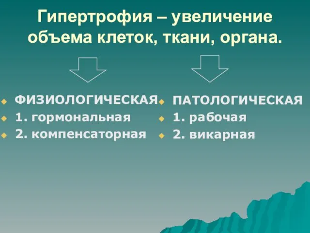 Гипертрофия – увеличение объема клеток, ткани, органа. ФИЗИОЛОГИЧЕСКАЯ 1. гормональная 2.