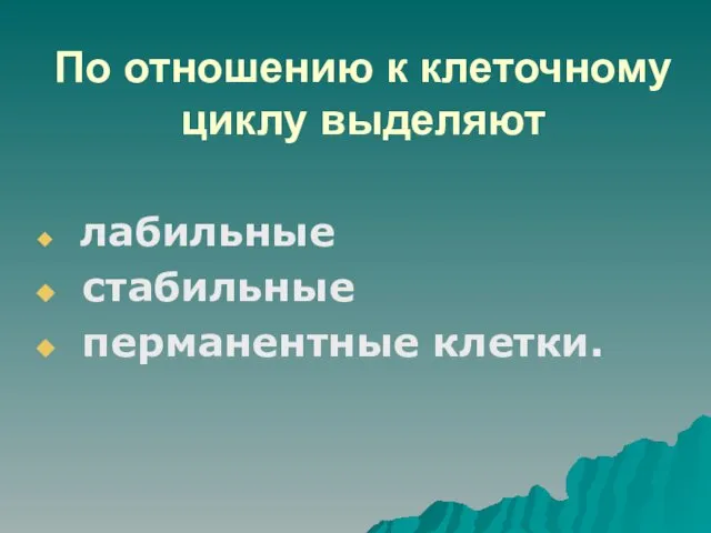 По отношению к клеточному циклу выделяют лабильные стабильные перманентные клетки.