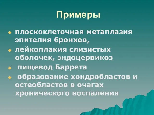 Примеры плоскоклеточная метаплазия эпителия бронхов, лейкоплакия слизистых оболочек, эндоцервикоз пищевод Баррета