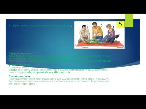 5. Приступить к сердечно-лёгочной реанимации. Первый участник Делает вдох искусственного дыхания.