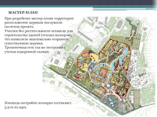 При разработке мастер-плана территории расположение деревьев послужило скелетом проекта. Участки без